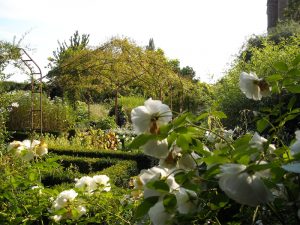 Beliebt und berühmt: Der weiße Garten von Sissinghurst