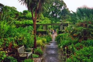 Englische Gärten (hier Bodnant Castle in Colwyn Bay) quellen über von Pflanzen aus aller Welt. Fotos: Sieglinde Stratmann