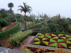 Interessante Ausblicke im botanischen Garten oberhalb von Funchal